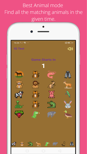 IQ Test Screen 2