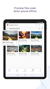 Screenshot image