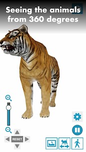 Animal Pose Collection APK for Android Download 1