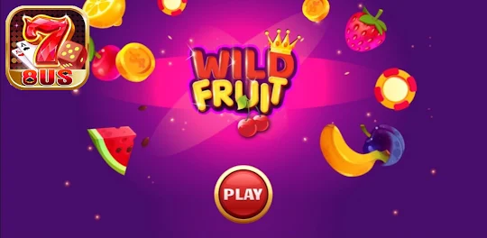 8US Game | Wild Fruit Master