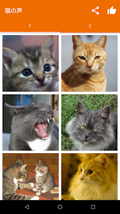 Meow Maker: Cat Sounds for Cat スクリーンショット