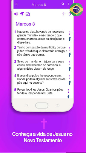 Novo Testamento Screen 2