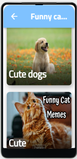 Funny Cat & Dog videos Screen 3