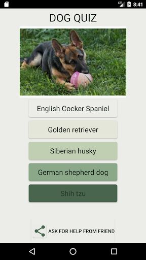 Android application How Many Of These Dog Breeds D screenshort