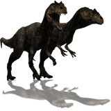 Allosaurus Dinosaur Widget icon