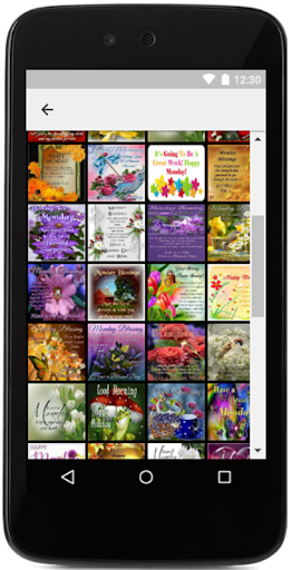 Blessed Daily Quotes