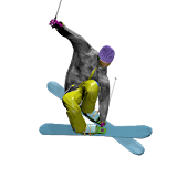 Free Ski in Japan 3D icon