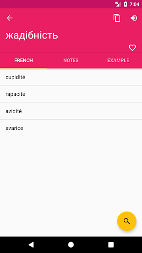 French Ukrainian Dictionary Screen 2