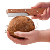 Coconut How To Open Coconut icon