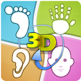 Total Reflexology 3D icon