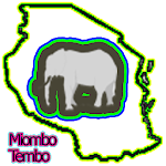 Cover Image of Herunterladen Miombo - Tembo  APK