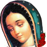 Virgen De Guadalupe Dibujo icon