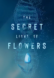 Icon image The Secret Light of Flowers