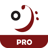 Itchoir Pro icon