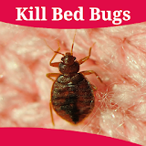 How To Get Rid Of Bed Bugs icon