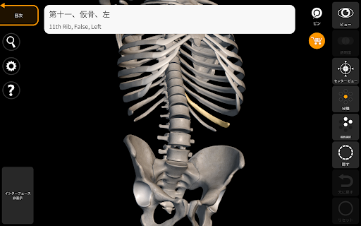 骨格 | 解剖学3D アトラス screenshot 9