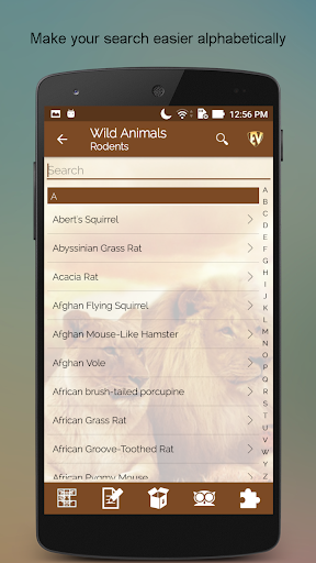 Screenshot of Wild Animals