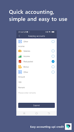 Easy-accounting-credit Screen 2