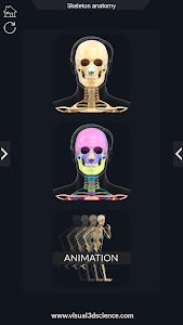 Skeleton Anatomy Pro. Unknown