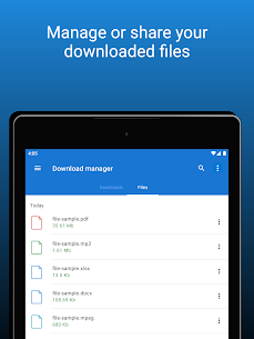 Download Manager 11