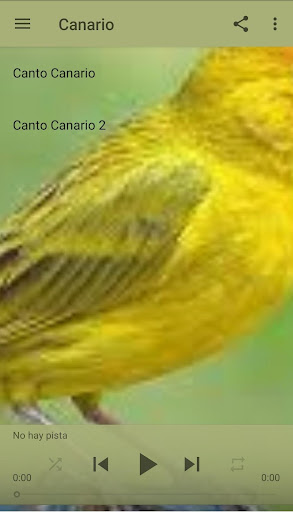 Android application canary screenshort