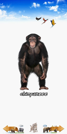 Animal Sounds By Meem Google Play Japan Searchman App Data Information