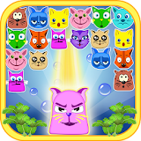 Funny Cats Bubble Shooter icon