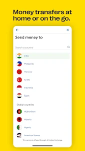 Western Union Send Money AE