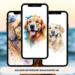 Golden Retriever Wallpaper HD