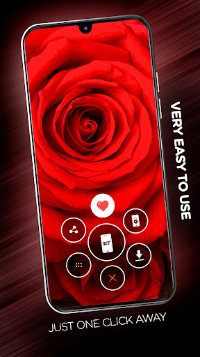 Valentines Day wallpapers Screen 2
