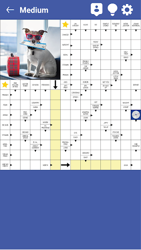 Android application Your daily crossword puzzles screenshort