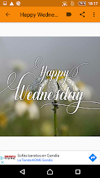 Happy Wednesday