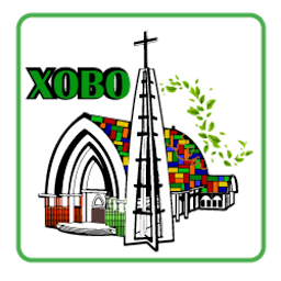 XOBO VAP: Download & Review