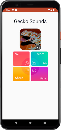 Gecko Sounds Screen 2