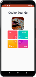 Gecko Sounds APK for Android Download (Premium) 2