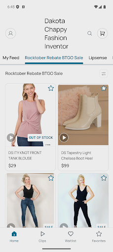 Dakota Chappy Fashion Inventor screenshot 0