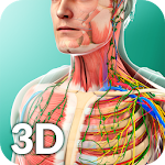 Cover Image of Download Human Anatomy  APK
