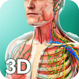 Slika ikone Human Anatomy
