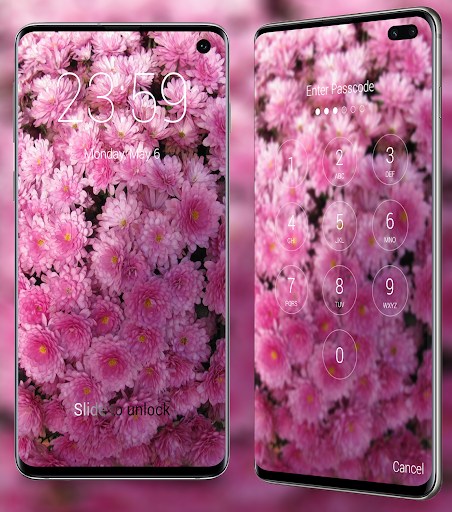 Chrysanthemums Wallpapers