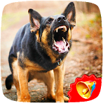Cover Image of ダウンロード Dog Barking Sounds  APK