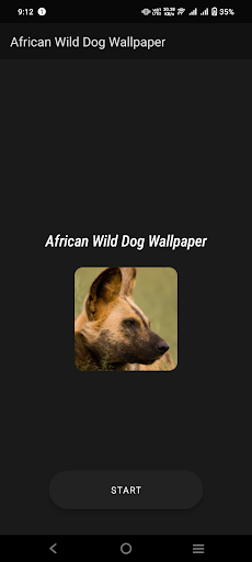 African Wild Dog Wallpaper Screen 2