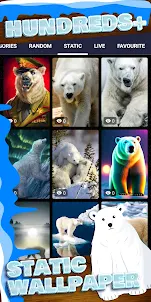 วอลล์เปเปอร์หมีขั้วโลก