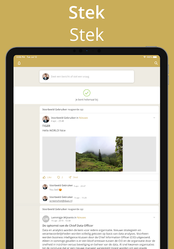 Stek Screen 2