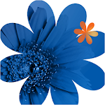 Cover Image of Unduh Lovelace Connect 10.0.400 APK