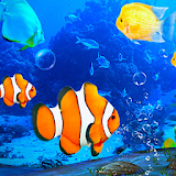 Aquarium Clown Fish Live Wallpaper 2019 icon