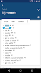 screenshot of Turkish English Dictionary