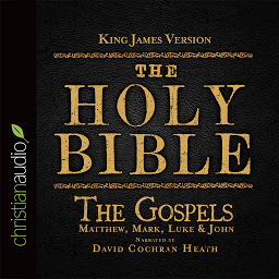 Icon image Holy Bible in Audio - King James Version: The Gospels