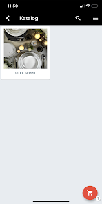 Ekrānuzņēmuma attēls