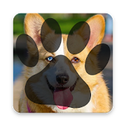 Top 46 Simulation Apps Like What Animal am I? Funny Prank - Best Alternatives