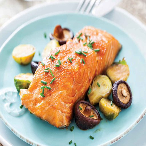 Insulin Resistance Diet for PC logo